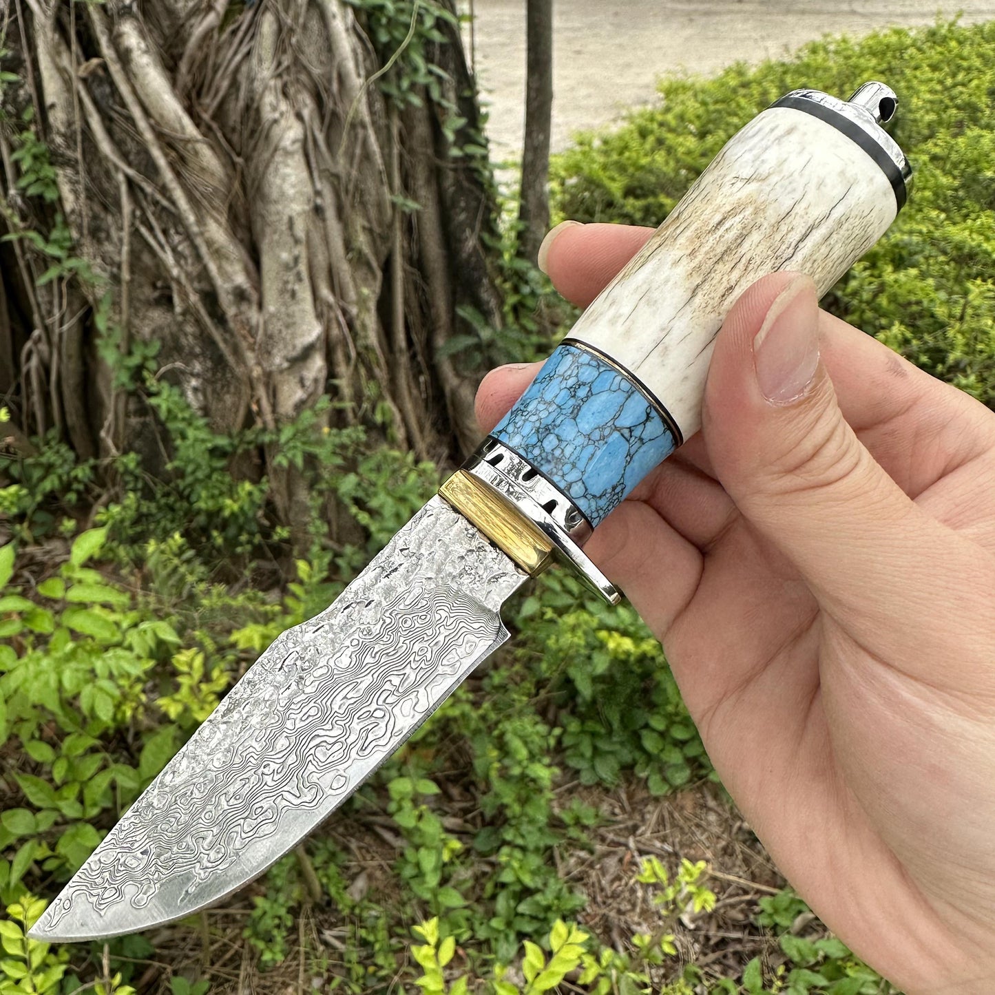 Couteau de Survie Bois de Cerf | France Survivalisme