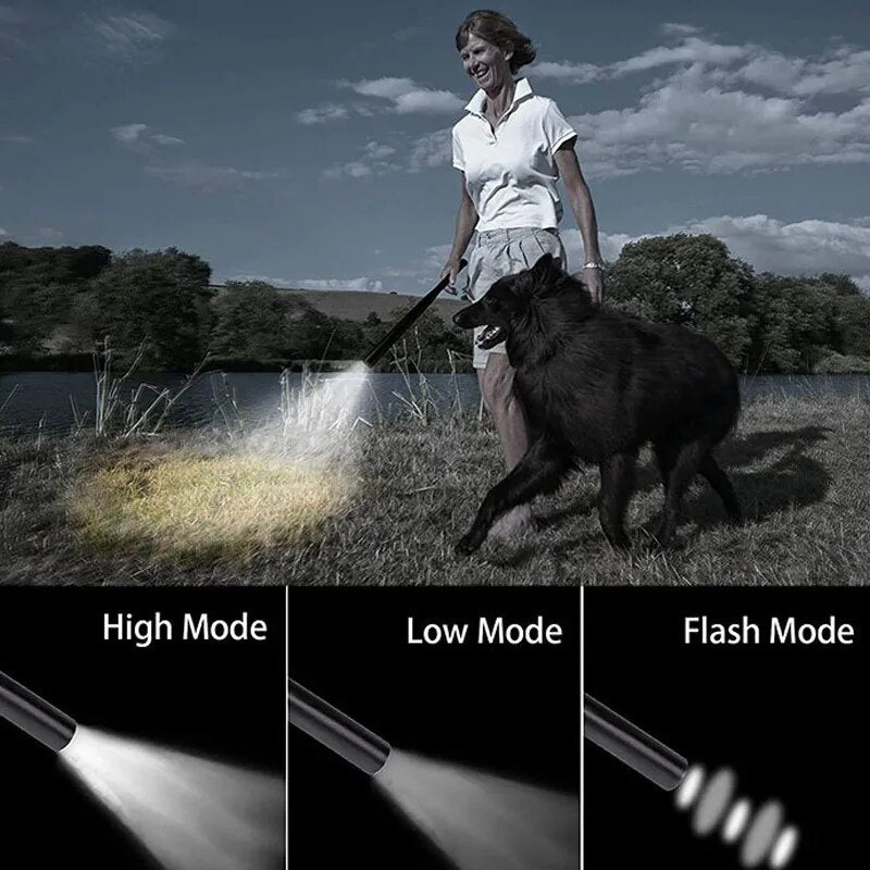 Batte de Baseball avec Lampe de Poche LED intégrée | France Survivalisme