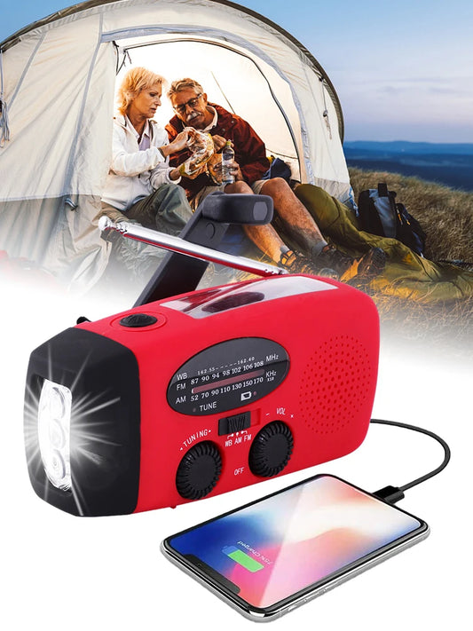 Dynamo Solar Radio