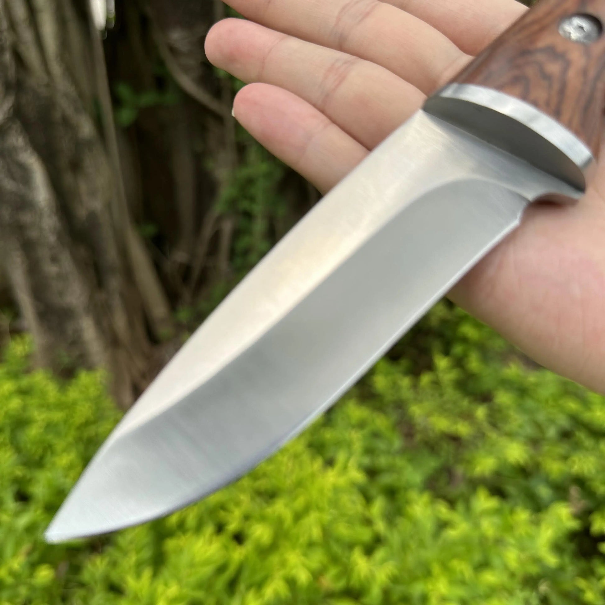 Couteau de Chasse Droit | France Survivalisme
